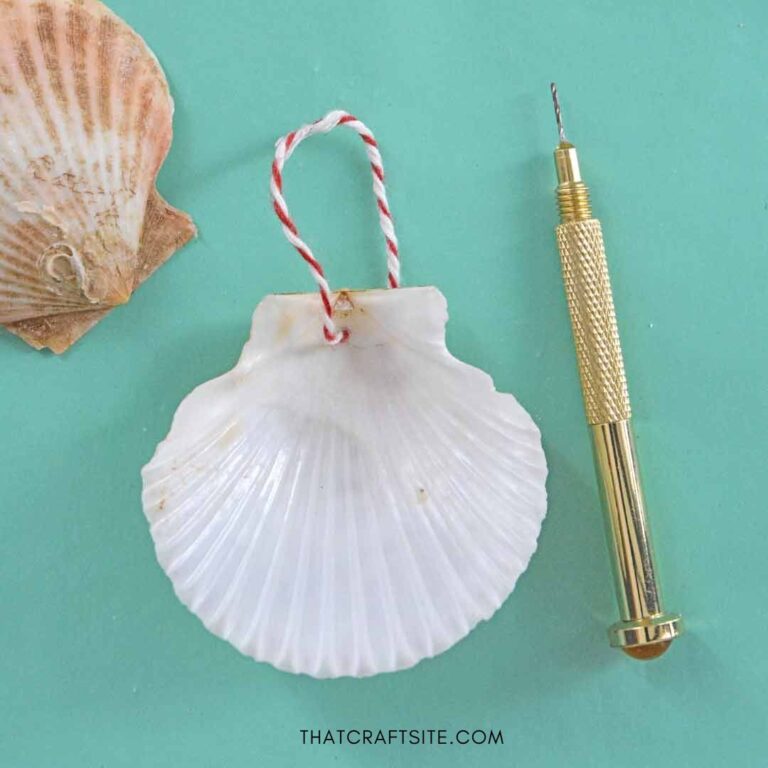 How To Make A Hole In A Seashell Without Breaking It   Hole Seashell Step 4a 768x768 