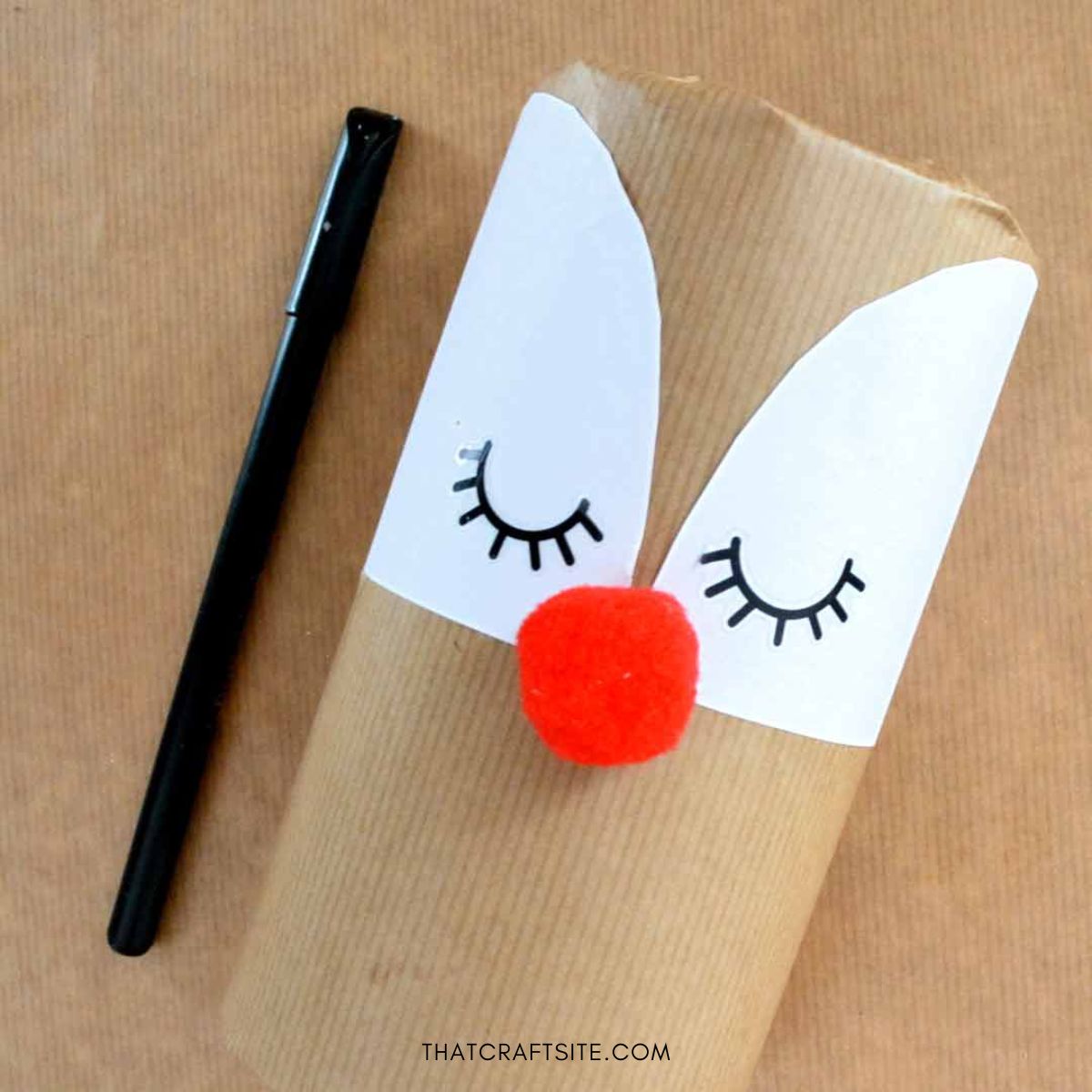 DIY Cylinder Christmas Reindeer Gift Wrap. Step 4: Draw eyes and glue on red pom pom nose.