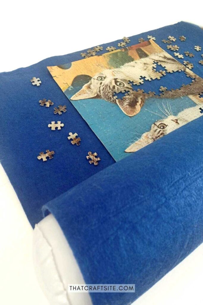 Cat puzzle in progress on a blue felt roll up mat and white inflatable tube.