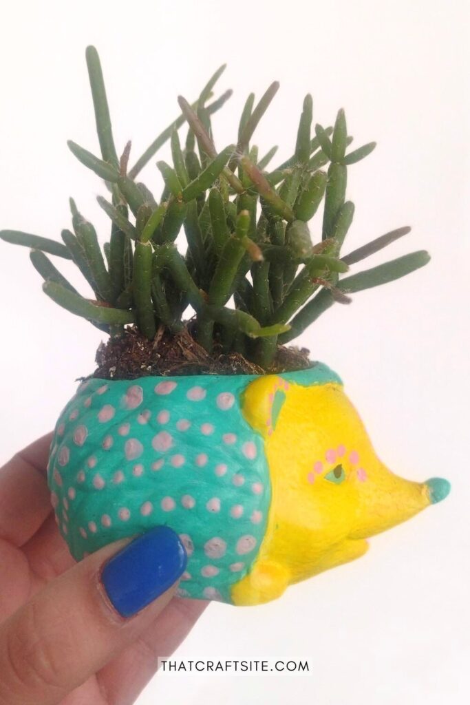 Hand holding up a hedgehog shaped planter painted in blue and yellow with pink polka dots and plant inside.
